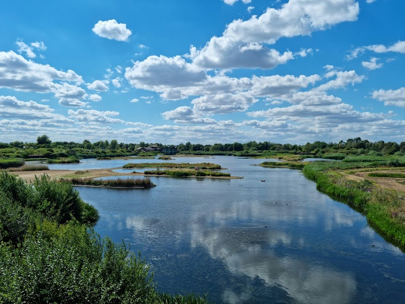 WWT London Wetland Centre photo 2