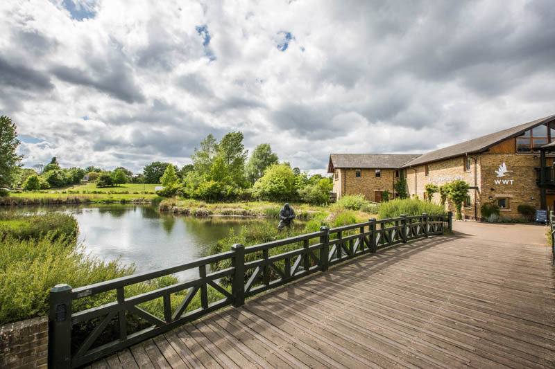 WWT London Wetland Centre photo 3