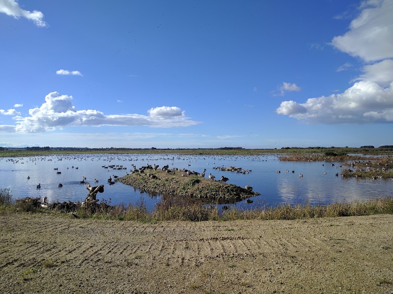 WWT Martin Mere photo 2