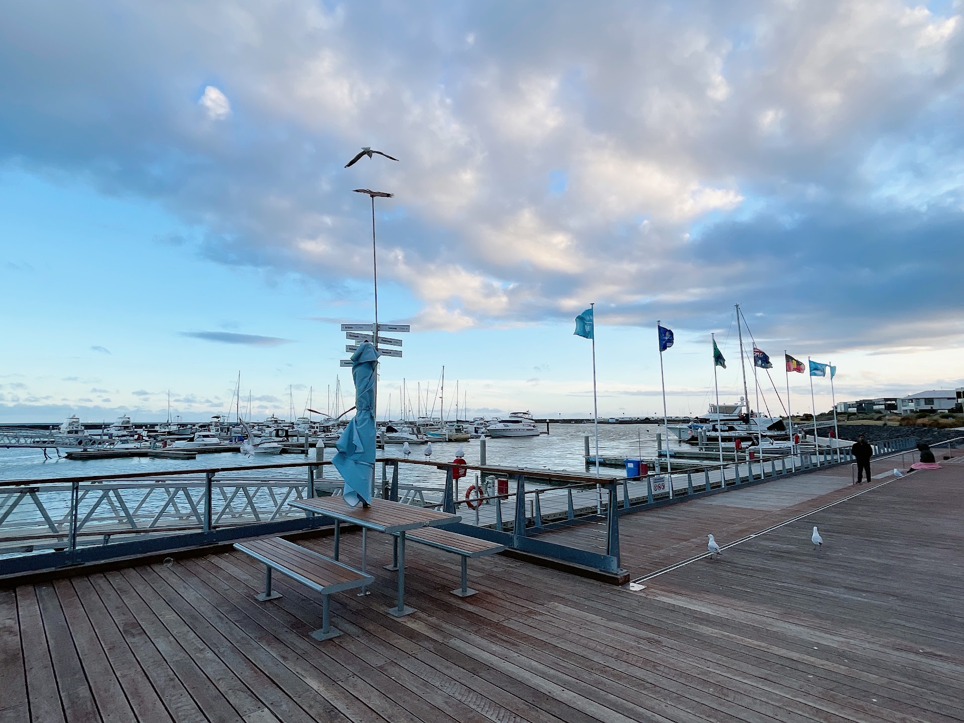 Wyndham Harbour Playground photo 2