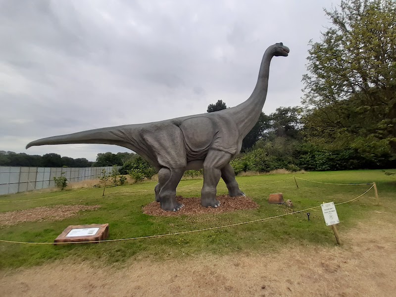 Wythenshawe Park and Gardens photo 2