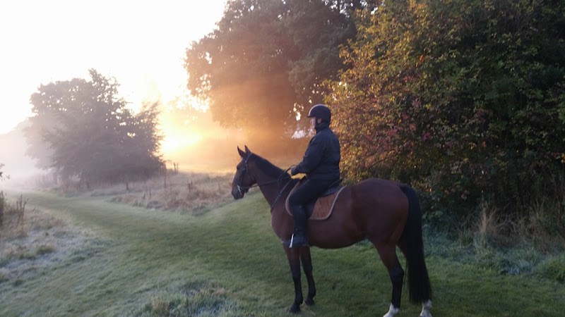 Photo of Wythenshawe Park Riding Stables Ltd in North West