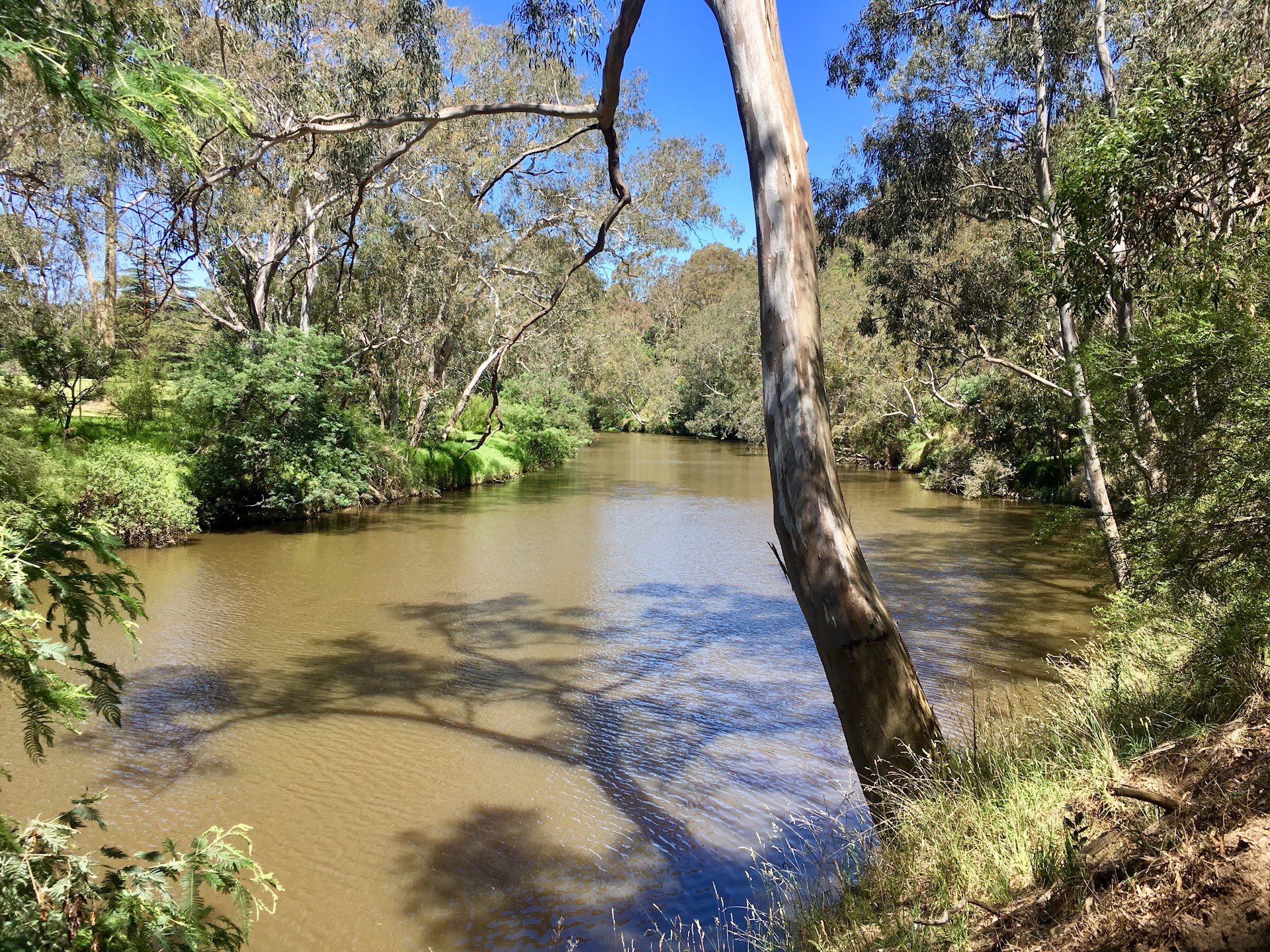 Yarra Bend Public Golf Course Melbourne photo 2
