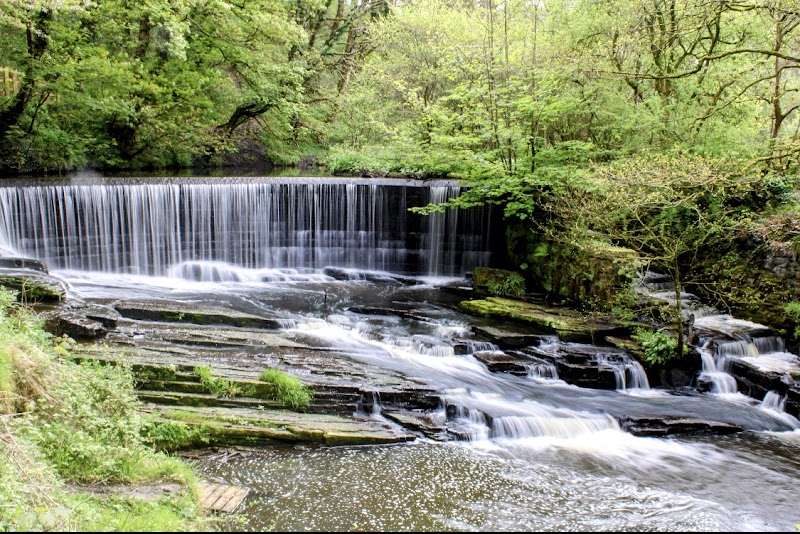 Yarrow Valley Country Park