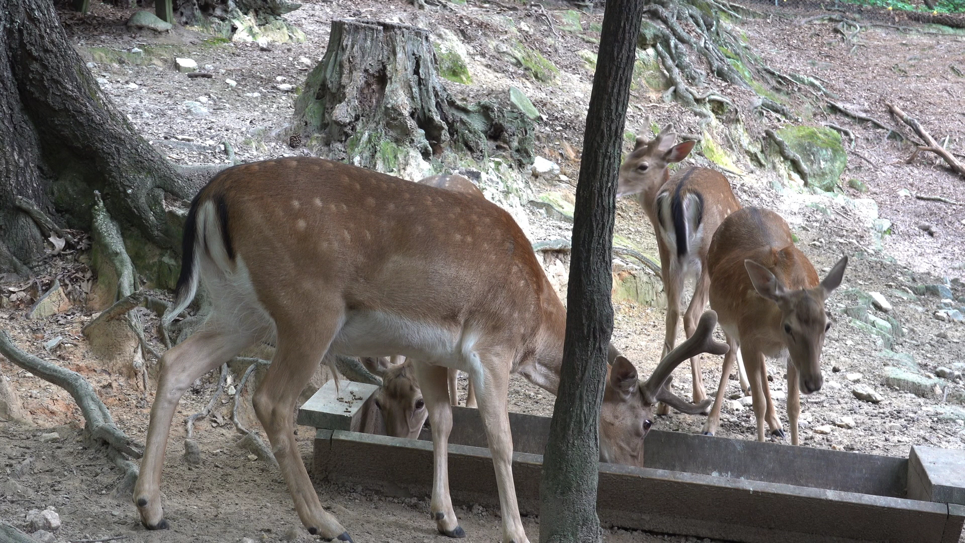 Yellow River Wildlife Sanctuary photo 2