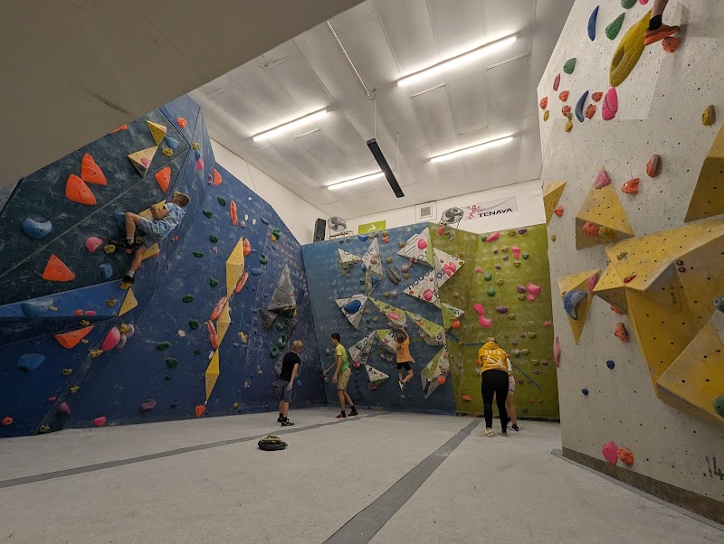 Yellow Spider Climbing photo 2