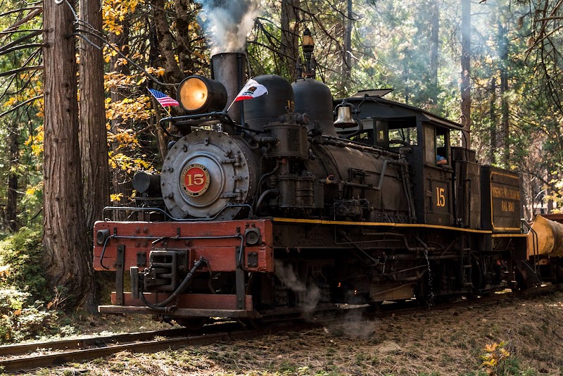 Yosemite Mountain Sugar Pine Railroad photo 3