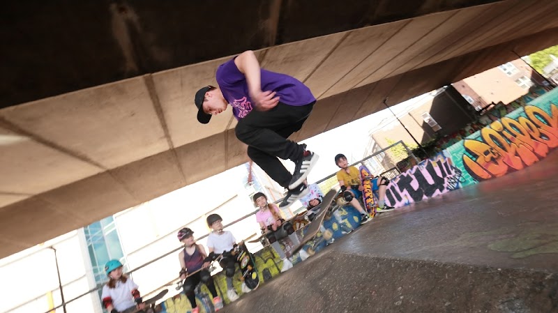Zebra Skate - Skateboarding and Rollerblading for all ages