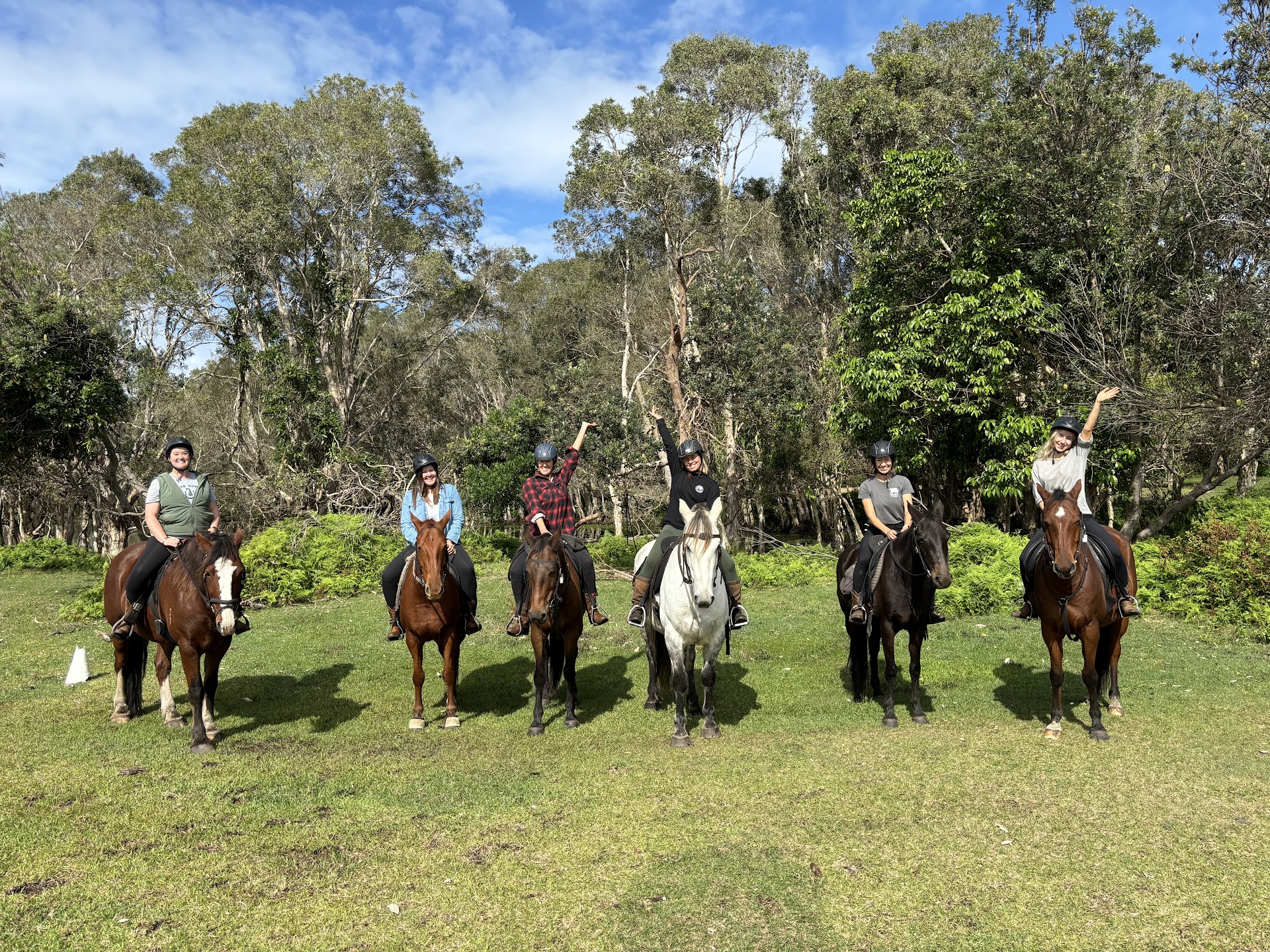 Zephyr Horses photo 2