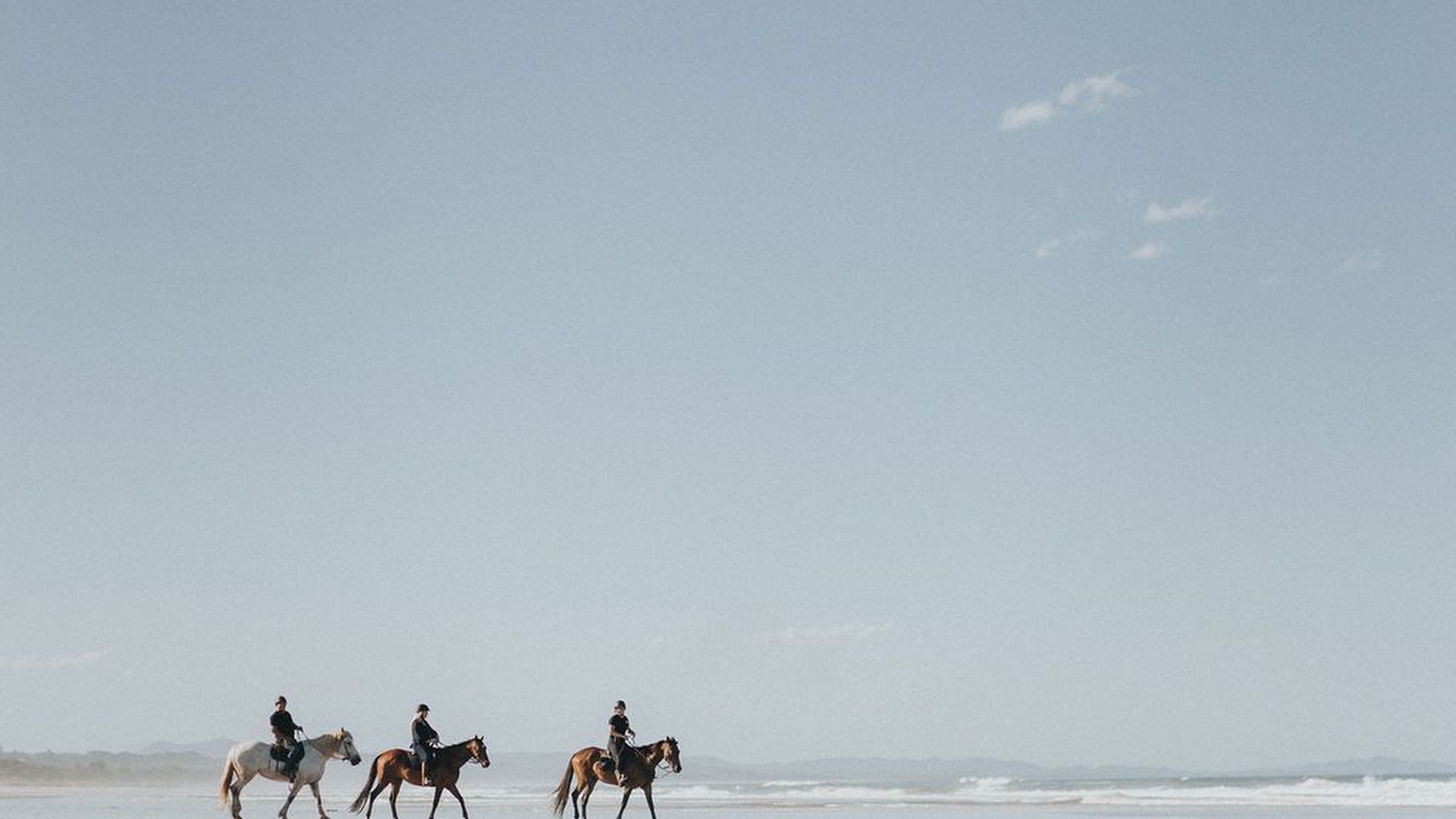 Zephyr Horses