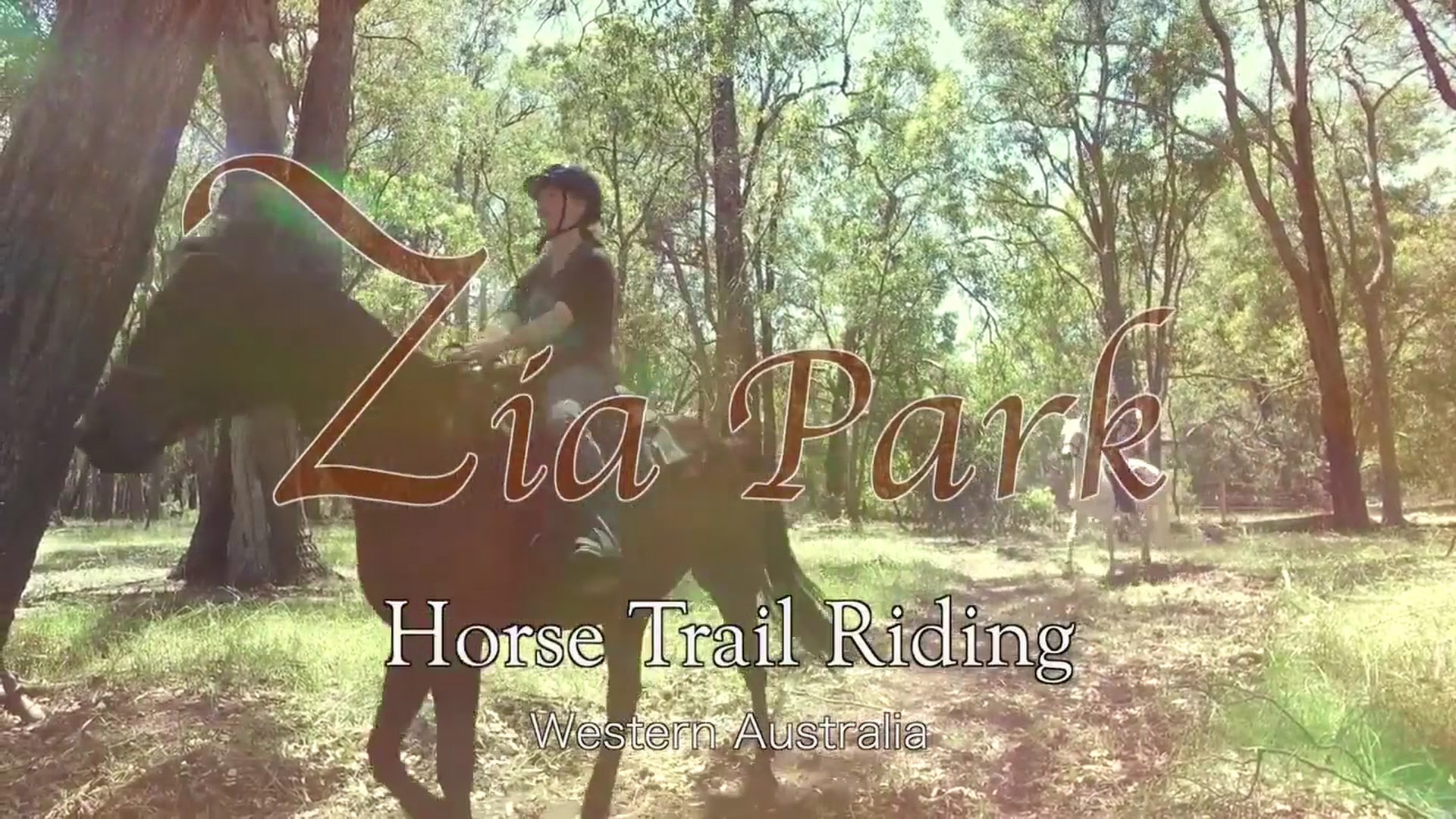 Zia Park Equestrian Centre photo 3