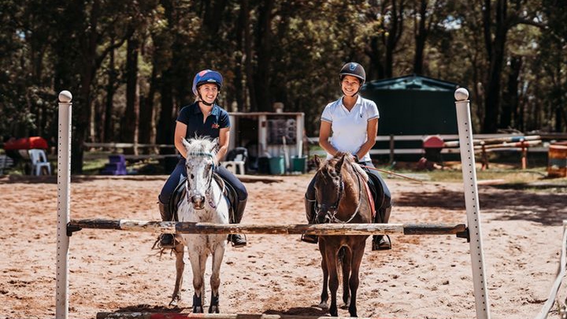 Zia Park Equestrian Centre photo 2
