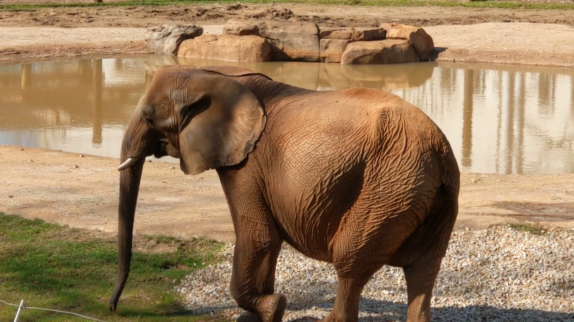 Zoo Atlanta photo 2