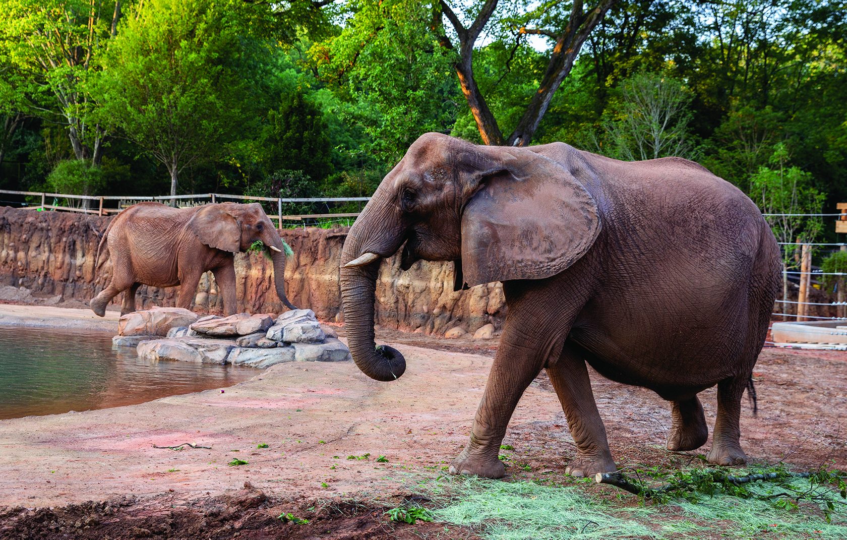 Zoo Atlanta photo 3