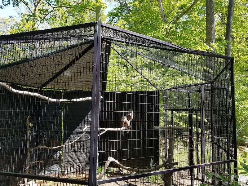 Photo of Zoologico in New York