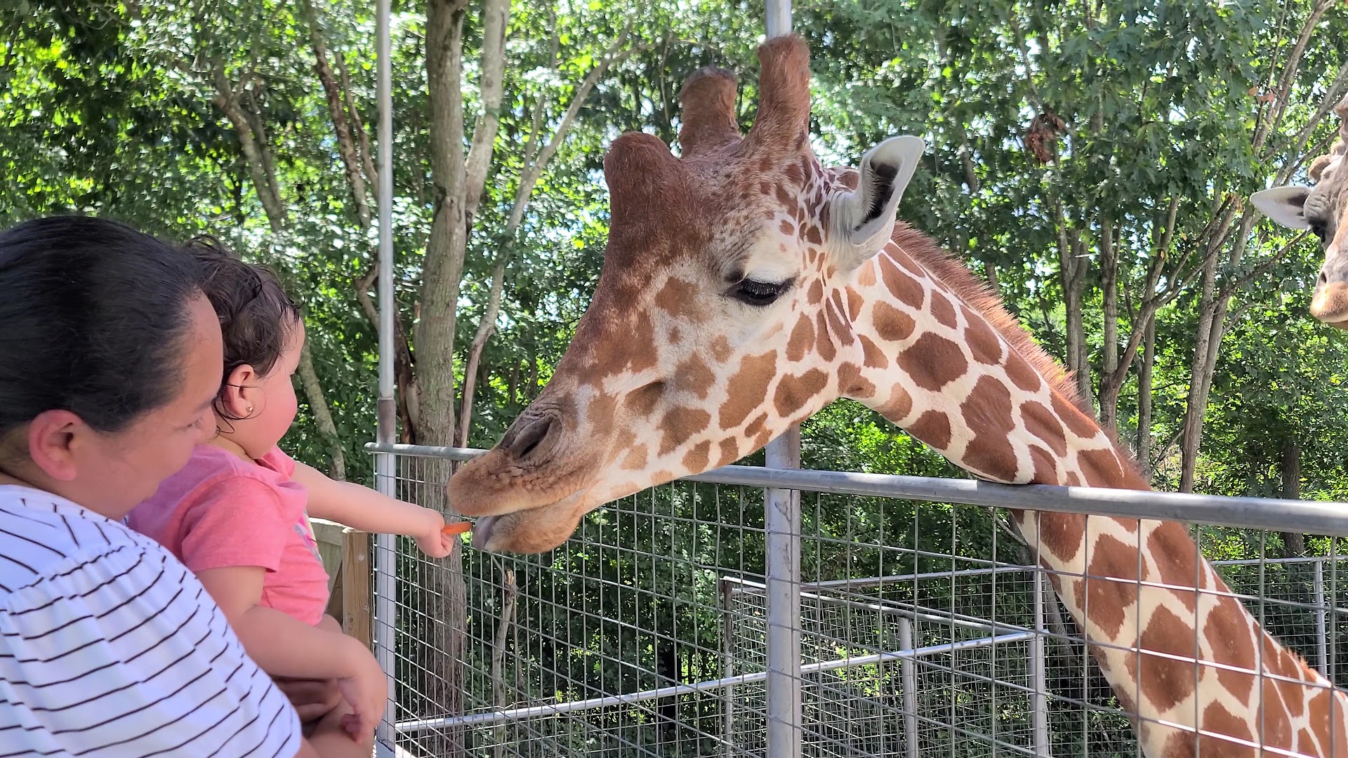 Zootastic Park photo 2