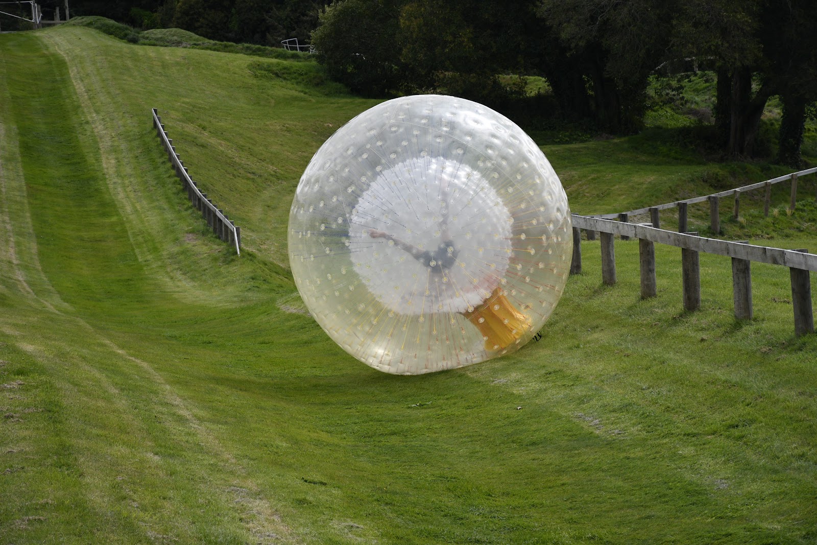 ZORB Rotorua photo 2