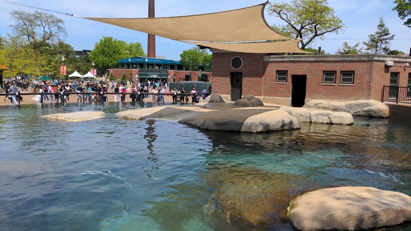 Best Zoos in America for Families