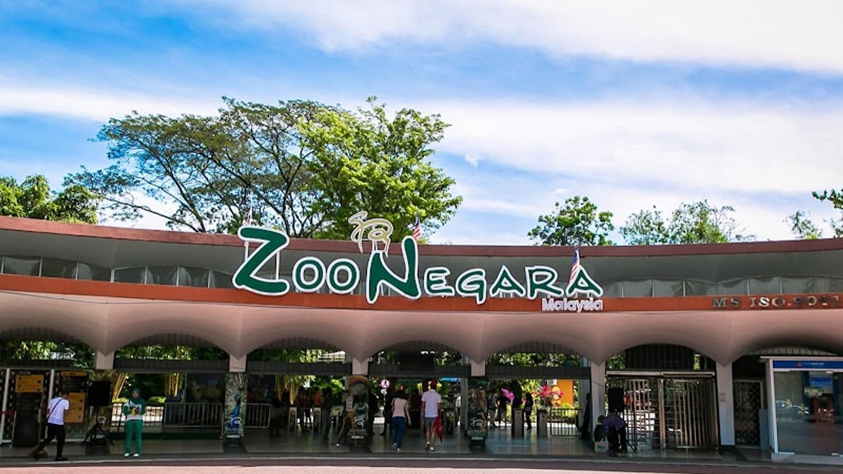 10 Best Zoos and Wildlife Parks in Malaysia