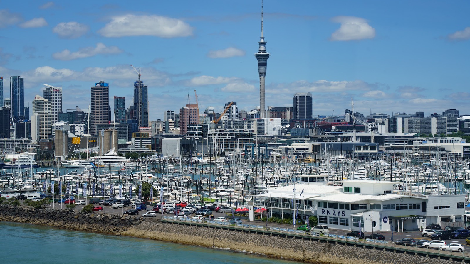 Best Family Tours & Experiences in Auckland
