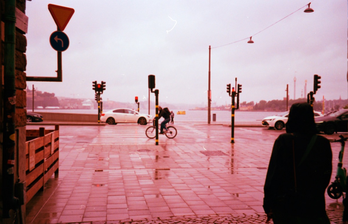 Rainy Day Activities for Kids in Wellington